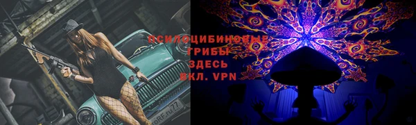 бошки Магадан