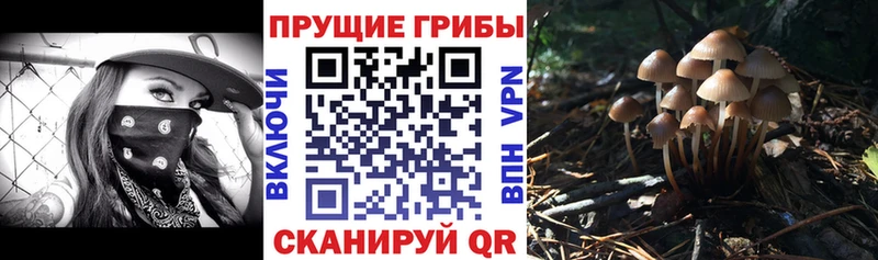 Галлюциногенные грибы Magic Shrooms  Кирсанов 